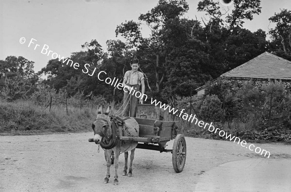 SEAMUS FITZPATRICK WITH CART